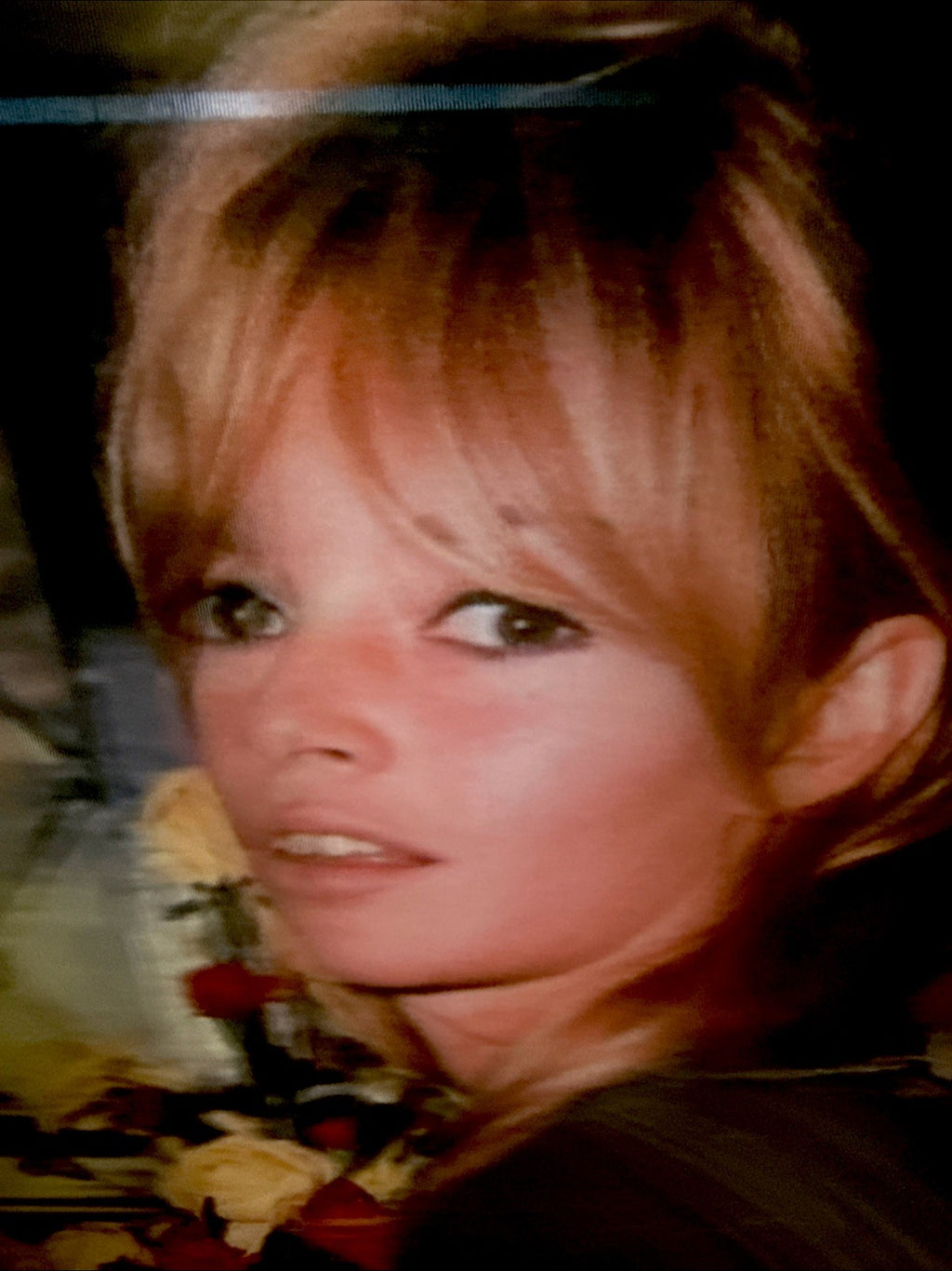 Robert Munn 3D lenticular Claudia Schaefer portrait - photo 4
