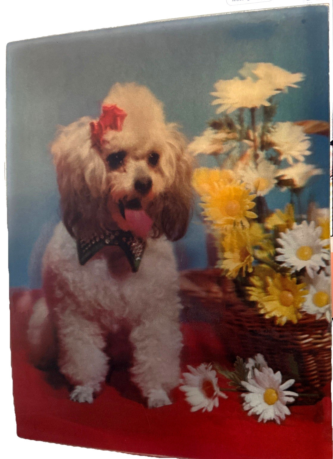 VTG TWIN PEAKS TV SHOW VARI VUE 3D LENTICULAR POODLE NM 11X14" POODLE NOS - photo 4
