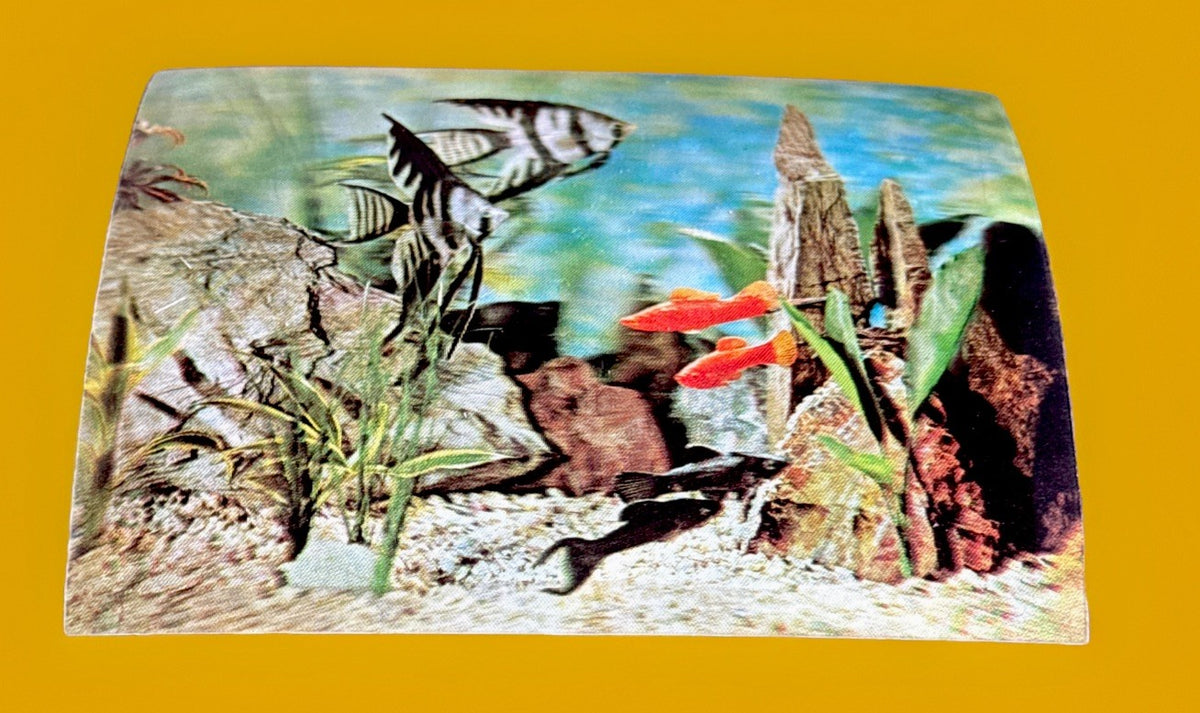1960s Vari Vue 5x4 aquarium 3D lenticular pictures - photo 4