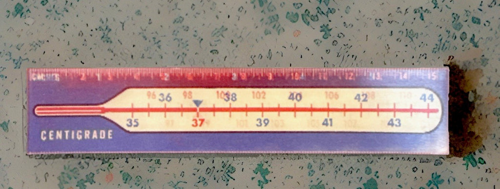 1960s Vari-Vue centigrade Fahrenheit thermometer lenticular 6 inch ruler