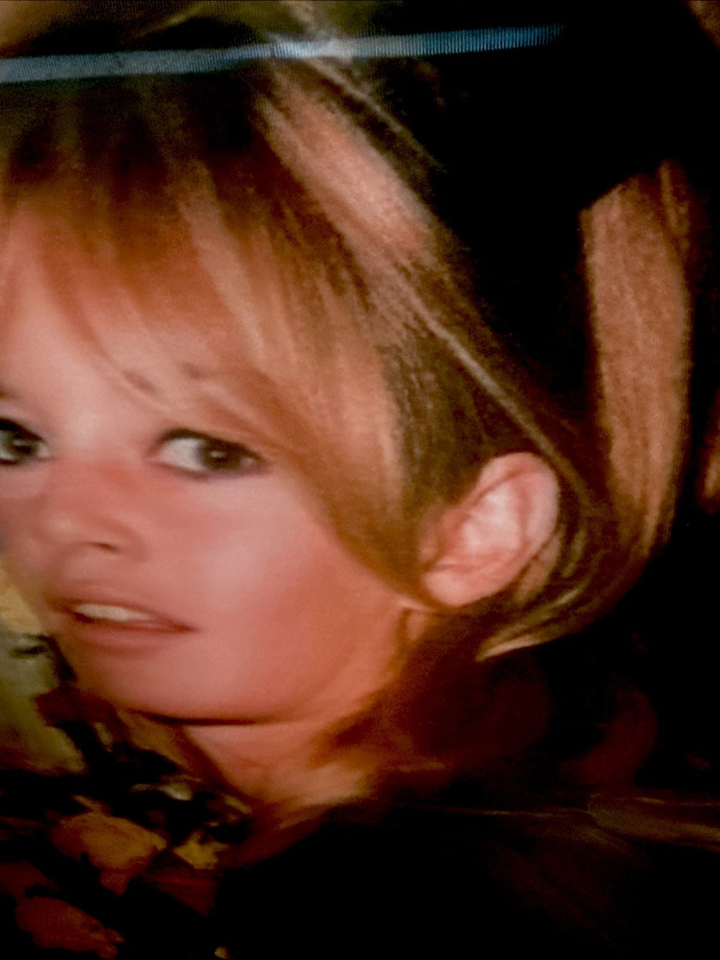 Robert Munn 3D lenticular Claudia Schaefer portrait - photo 5