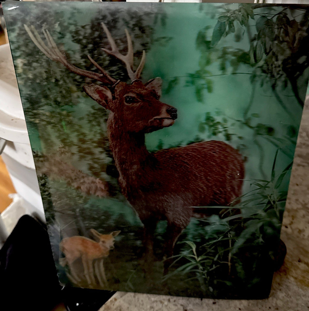 1970s Toppan stereo 3D lenticular stags in shrinkwrap - photo 3