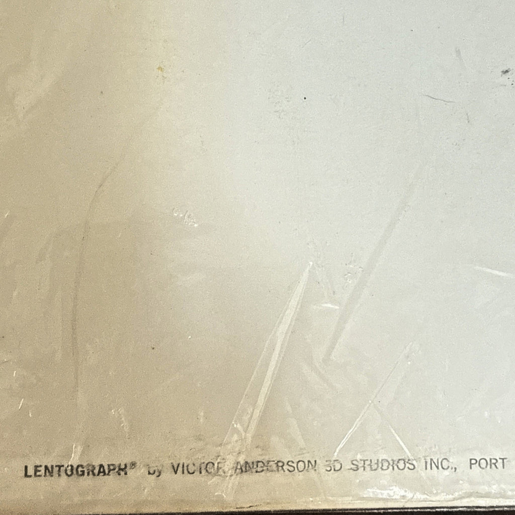 RARE VTG LENTOGRAPH BY VICTOR ANDERSON SAIL BOATS AT ANCHOR NAUTICAL 16 X 12 - photo 7