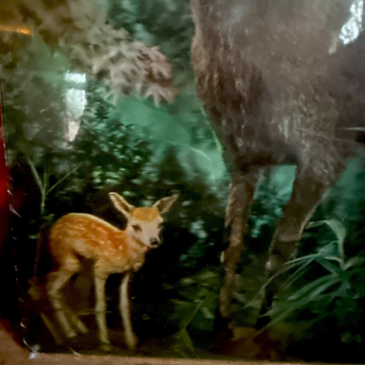 1970s Toppan stereo 3D lenticular stags in shrinkwrap - photo 2