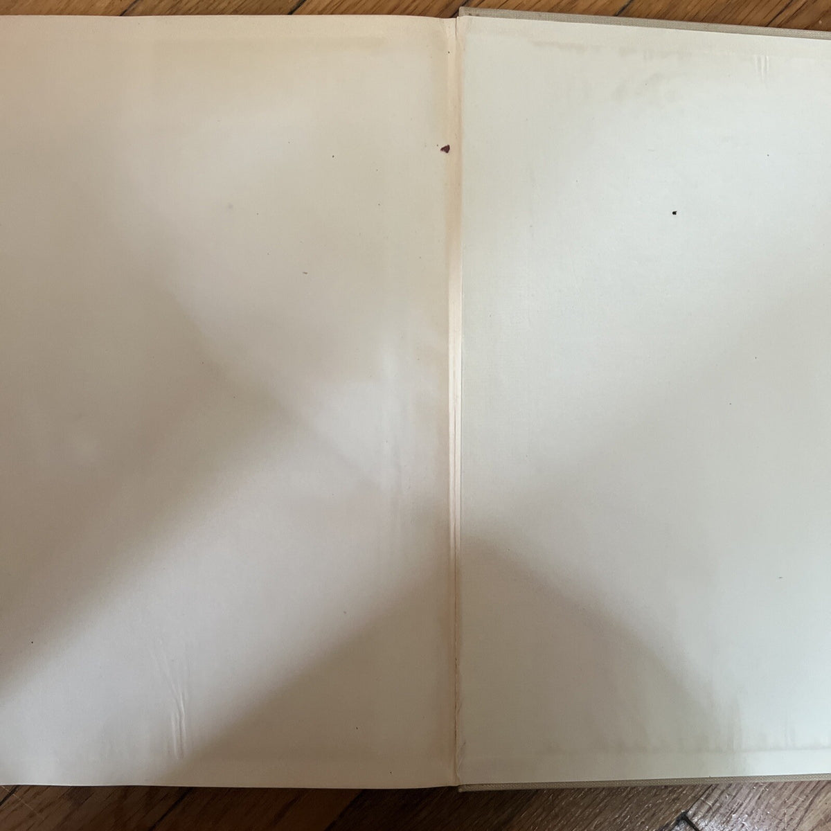 Antique Paul Cezanne book 1948 PHADON PRESS LTD IN SWEDISH EX!! - photo 17