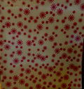 1960s Vari-Vue pink spinning gears lenticular large