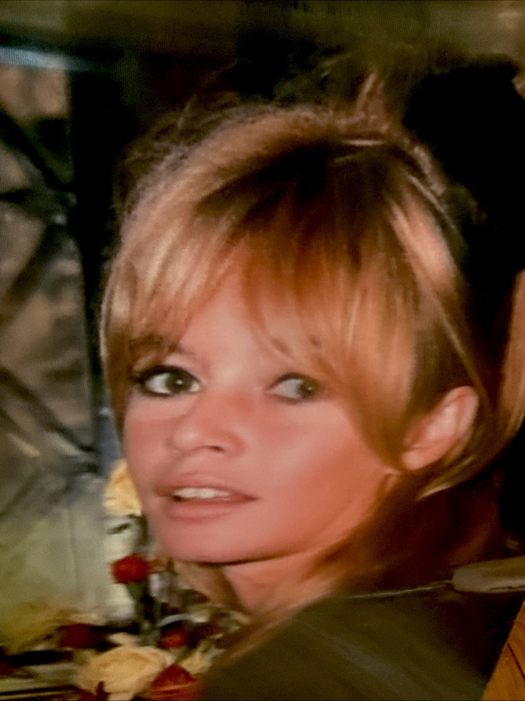 Robert Munn 3D lenticular Claudia Schaefer portrait - photo 2