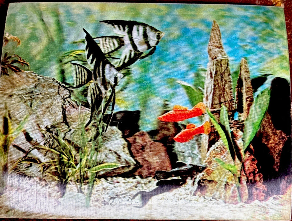 Vtg Vari Vue 5X4 INCH AQUARIUM 3D LENTICUALR PICTURES NOS MINT - photo 5