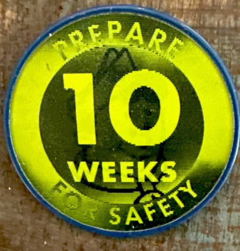 Vintage Vari-Vue Boy Scouts safety pinbacks Safety Week - photo 6