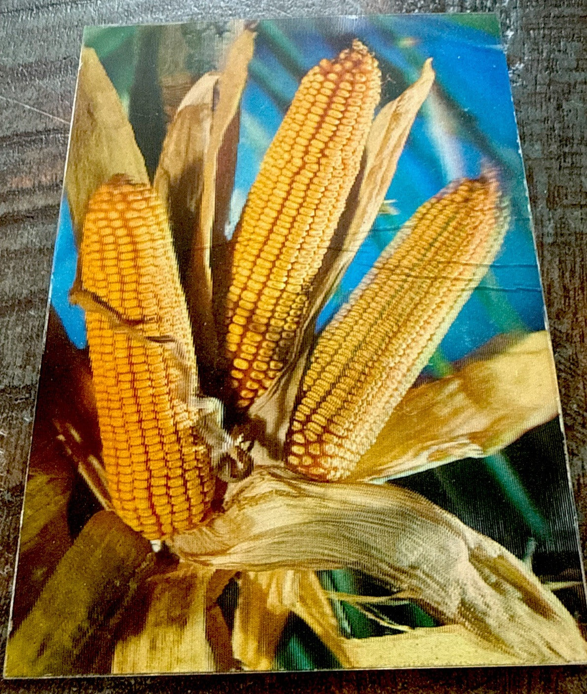 1970 3D LENTICULAR RIDIG MAIZ/CORN ON THE COB POSTCARD RARE NOS From SPAINE - photo 2