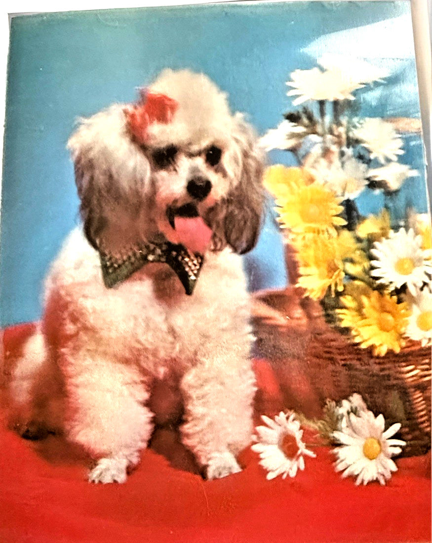 Twin Peaks TV show Vari-Vue 3D lenticular poodle 11x14
