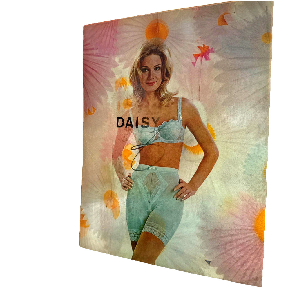 DAISY FRESH LINGERIE 1960'S VARI-VUE 14 X 16 INCH LENTICULAR 3-D PICTURE NOS - photo 2