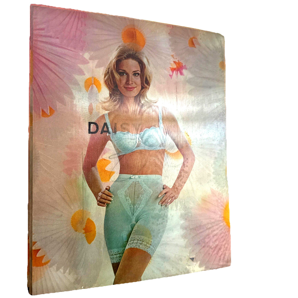 DAISY FRESH LINGERIE 1960'S VARI-VUE 14 X 16 INCH LENTICULAR 3-D PICTURE NOS - photo 5