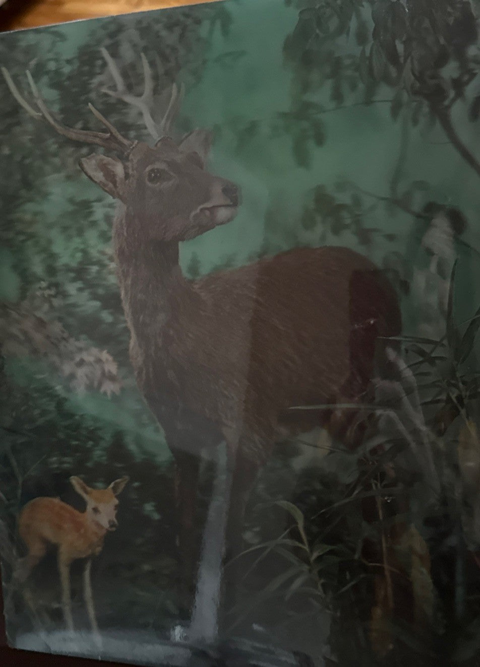 1970s Toppan stereo 3D lenticular stags in shrinkwrap - photo 5