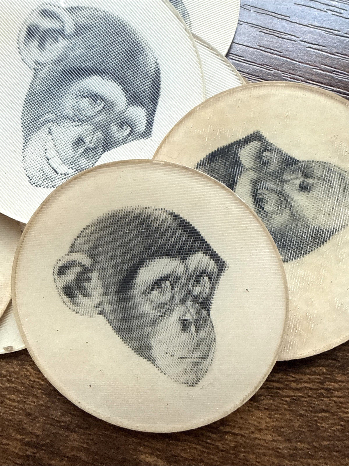 Vari-Vue 1950s chimpanzees round motion lenticular flickers - photo 4