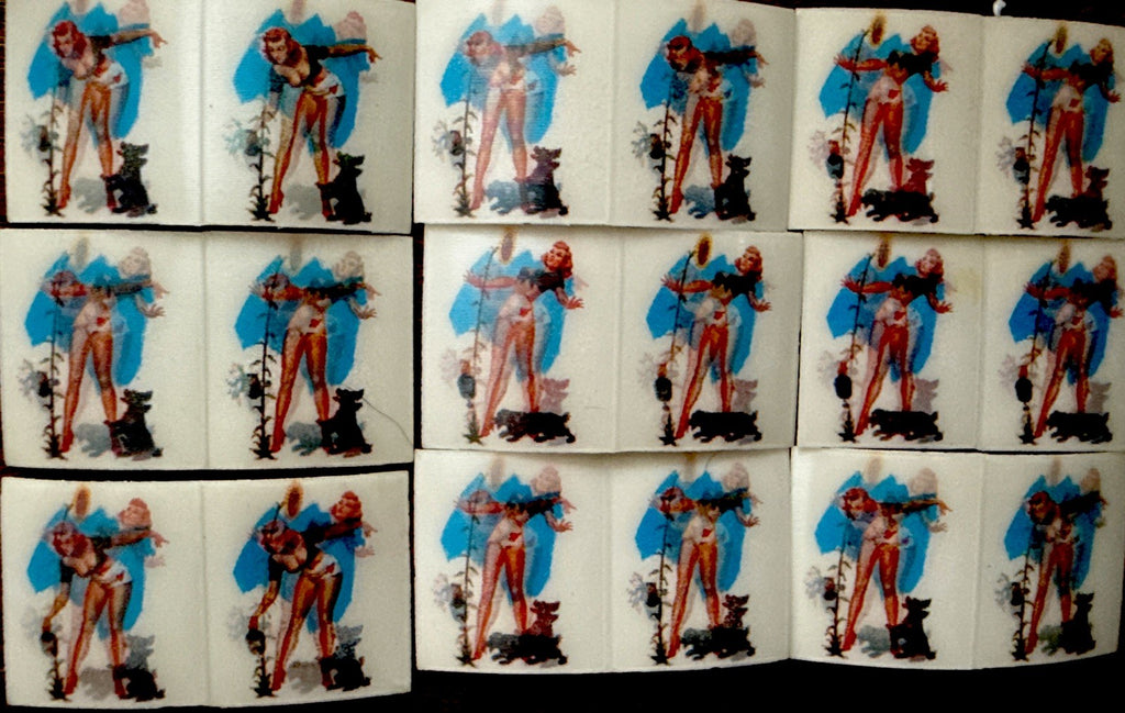 1950s Vari-Vue girl watering flowers with dog 2-phase flickers lot