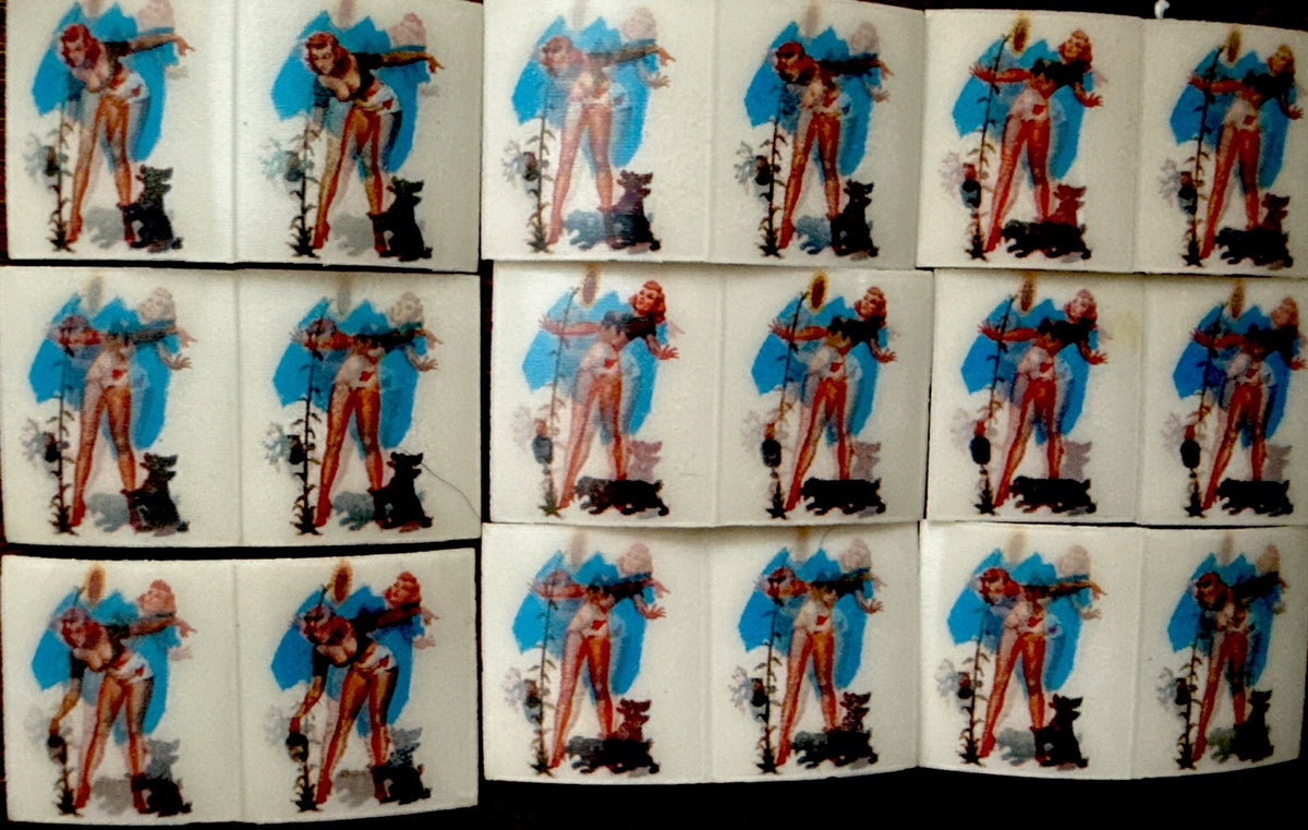 1950s Vari-Vue girl watering flowers with dog 2-phase flickers lot