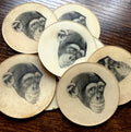 Vari-Vue 1950s chimpanzees round motion lenticular flickers