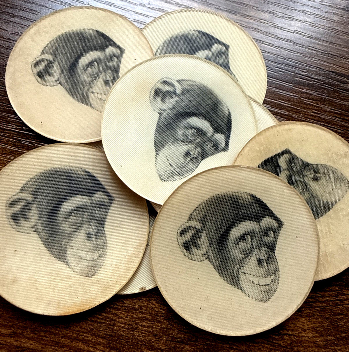 Vari-Vue 1950s chimpanzees round motion lenticular flickers