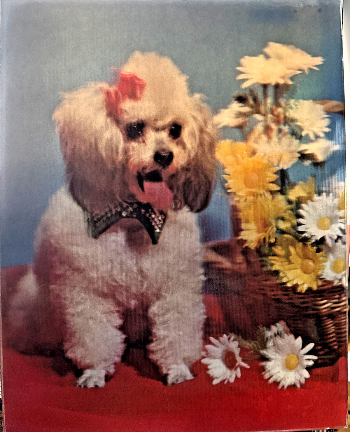 VTG TWIN PEAKS TV SHOW VARI VUE 3D LENTICULAR POODLE NM 11X14" POODLE NOS - photo 3
