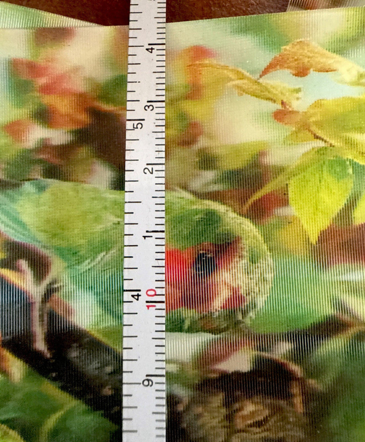 1970s 3D stereo lenticular parrots on tree lot of 5 - photo 5
