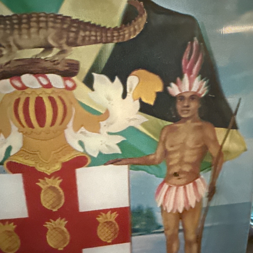 1962 Coat of Arms of Jamaica lenticular Vari-Vue 11x14 - photo 5