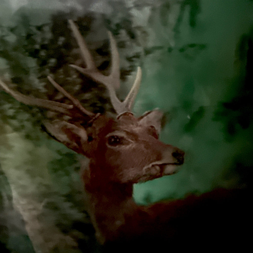 1970s Toppan stereo 3D lenticular stags in shrinkwrap - photo 4