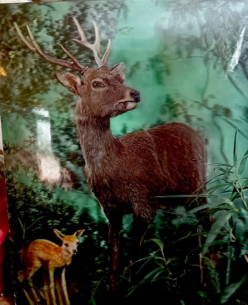 1970s Toppan stereo 3D lenticular stags in shrinkwrap