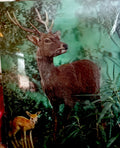 1970s Toppan stereo 3D lenticular stags in shrinkwrap