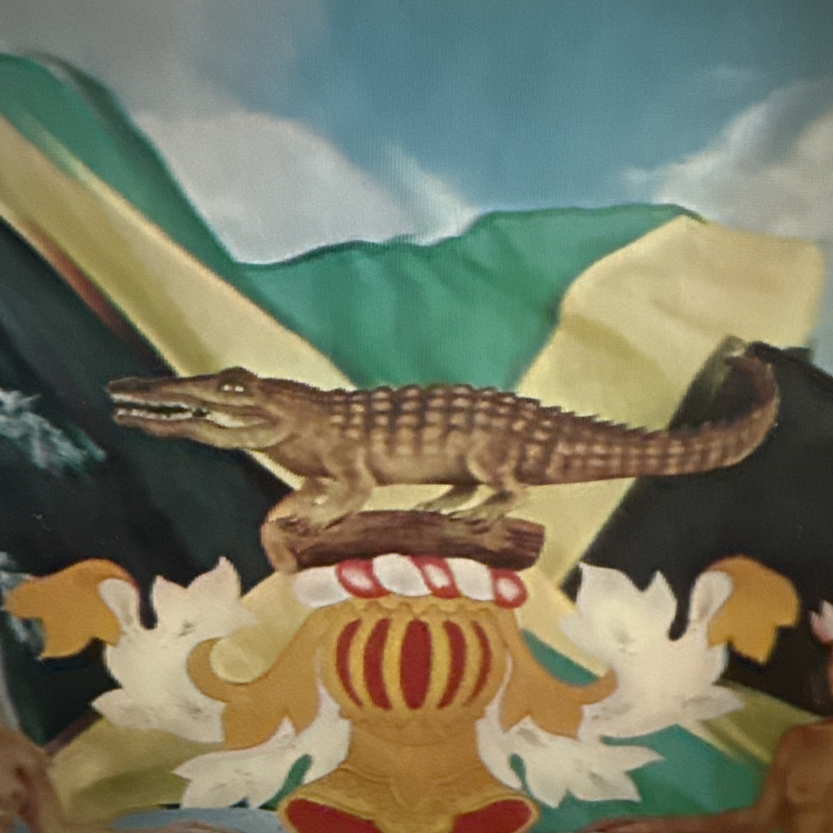 1962 Coat of Arms of Jamaica lenticular Vari-Vue 11x14 - photo 4
