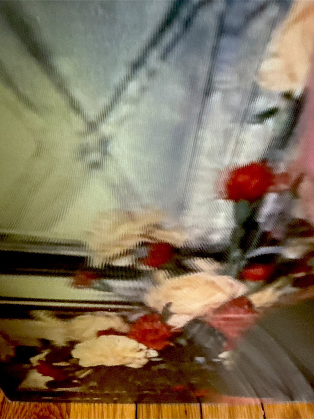 Robert Munn 3D lenticular Claudia Schaefer portrait - photo 3
